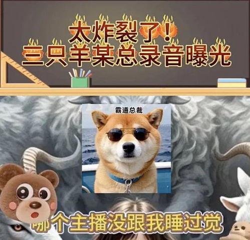 七只羊吃瓜,探寻羊群中的和谐共处之道