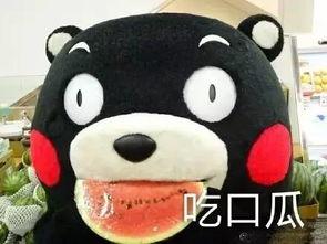 吃瓜歌配图,跟随吃瓜歌，领略趣味生活瞬间