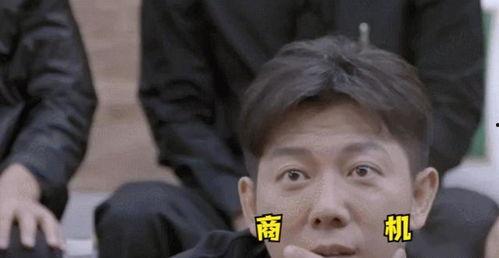 吃瓜歌配图,跟随吃瓜歌，领略趣味生活瞬间