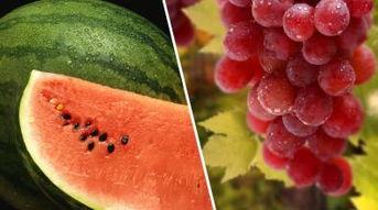 吃葡萄是什么瓜,探寻“吃葡萄是什么瓜”的趣味谜题