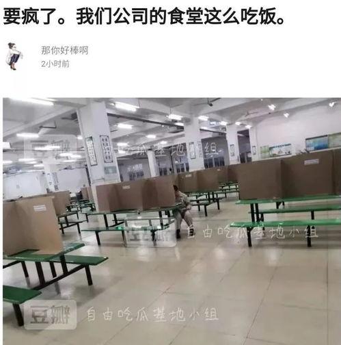 豆瓣小组吃瓜基地,揭秘网络舆论场的真实面貌