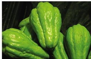 佛手瓜蘸酱吃,邂逅蘸酱美味之旅