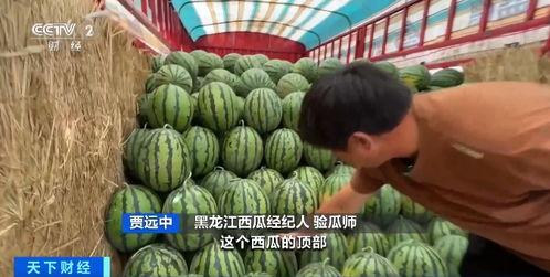 全网吃瓜平台,揭秘娱乐圈幕后真相