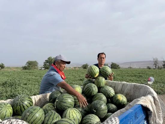 纯朴乡村吃瓜图片,瓜香四溢的悠闲时光