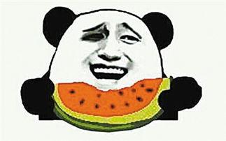 吃瓜群众免费吃瓜小学生,小学生吃瓜群众狂欢记