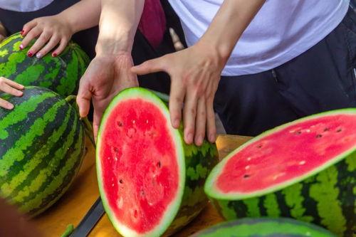 西昌吃瓜大风波,一场网络舆论的狂欢与反思