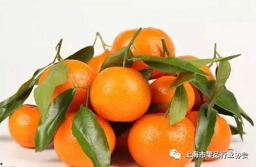 橘哥吃瓜,揭秘娱乐圈那些不为人知的幕后故事