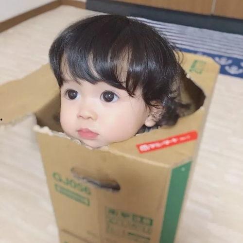 洋娃娃吃瓜头像高清,萌趣横生的视觉盛宴