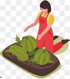 上朝吃瓜动画全集,宫廷秘闻动画全集大揭秘