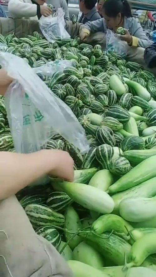 山东拉瓜怎么吃,解锁美味新体验