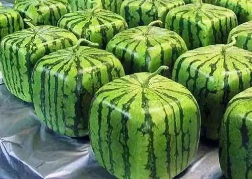 最近吃瓜太多了,揭秘娱乐圈幕后真相