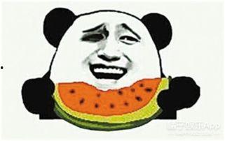 吃瓜群众前后对比,从旁观者到深度参与者的蜕变之旅