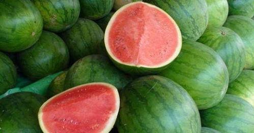 不回信息吃瓜,揭秘不回信息背后的“吃瓜”真相