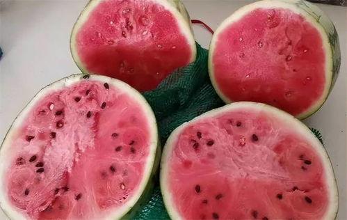 吃冰糖麒麟瓜,夏日消暑佳品，甜蜜滋味尽享清凉