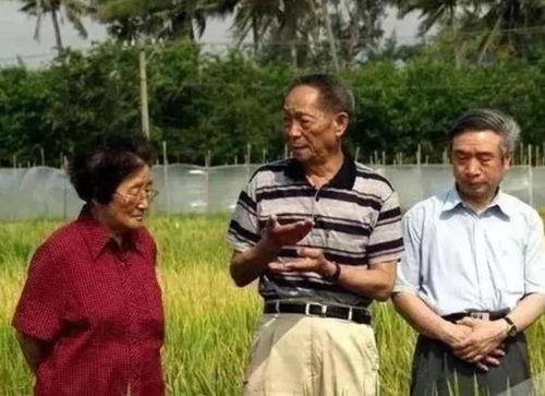 田妈吃瓜,揭秘娱乐圈幕后故事