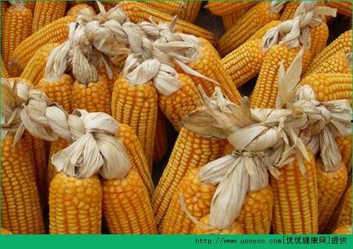 吃瓜后吃玉米能减肥吗,减肥新选择？揭秘玉米的神奇瘦身效果