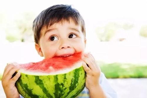 兽医圈吃瓜,揭秘宠物医疗界的“吃瓜”风云