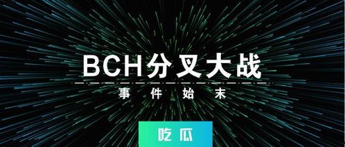 弹幕吃瓜向南阿兰,揭秘向南阿兰的幕后故事