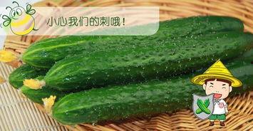 六组吃瓜,揭秘娱乐圈背后的秘密风云