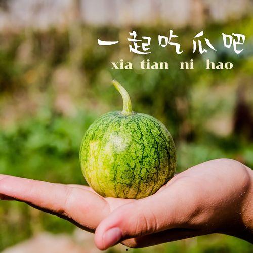 莱阳专业吃瓜,专业吃瓜者的美食之旅