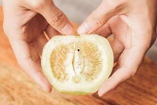 连皮带吃的瓜叫什么瓜,揭秘“连皮带吃”的独特瓜类