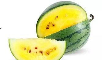 坐在西瓜里面吃瓜,揭秘坐在西瓜里吃瓜的独特体验