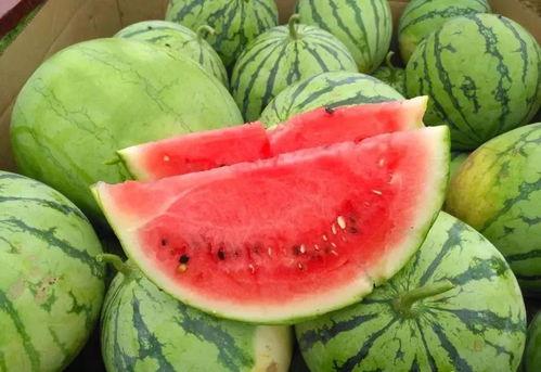 田心三水知乎吃瓜,揭秘网络红人的幕后故事