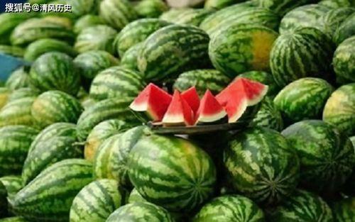 公司吃瓜最多的岗位,揭秘公司吃瓜最多的岗位风云录