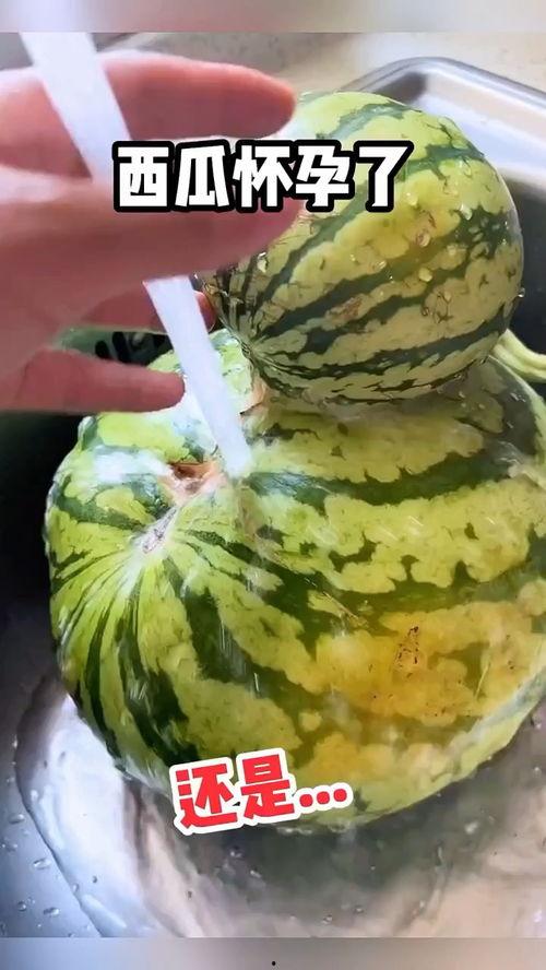 搞笑吃瓜讲解视频,笑到肚子疼