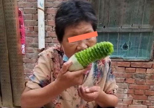 婆婆让吃瓜,共享夏日清凉——婆婆的瓜果盛宴