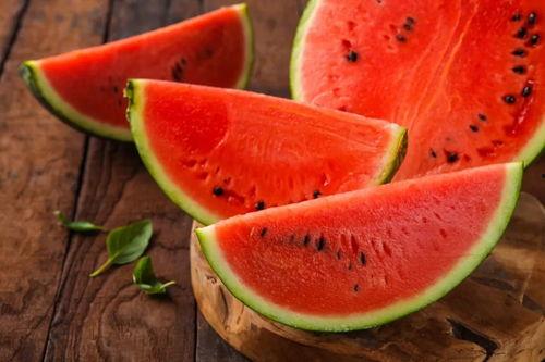 蛋龟吃瓜,探索蛋龟的美食世界