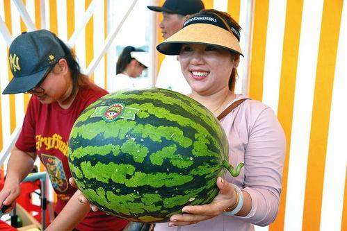 吃瓜最开心,吃瓜群众最开心的瞬间大盘点