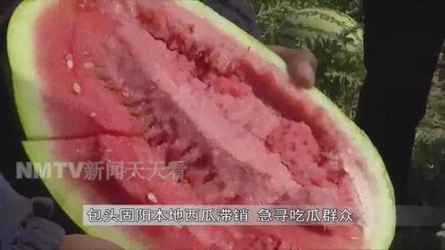 老王吃瓜ink,揭秘娱乐圈背后的故事