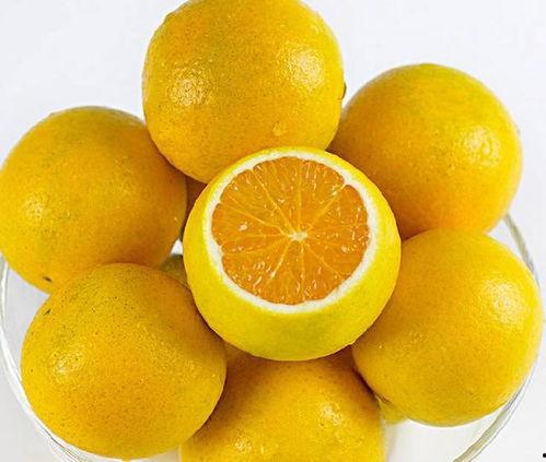 橙子爱弟弟吃瓜,一场甜蜜的吃瓜盛宴