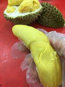 大马吃瓜的视频,揭秘网络红人背后的故事