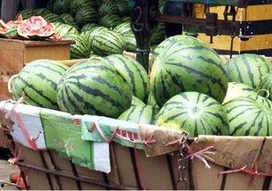 吃圈圈瓜,探寻夏日消暑新宠