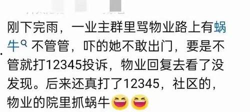 吃瓜绅士群密码,密码背后的神秘世界