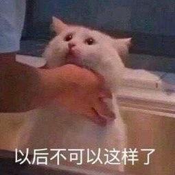 17吃瓜朝阳群众