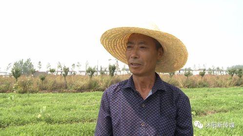 吃瓜群众莫着急,揭秘娱乐圈幕后真相