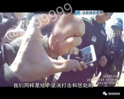 吃瓜夫妻视频大全播放,揭秘娱乐圈甜蜜瞬间