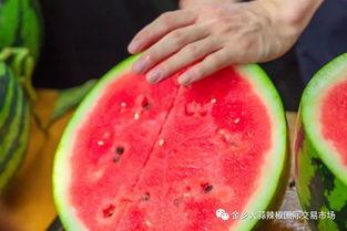 大学寒假吃瓜,大学生们的校园八卦盛宴