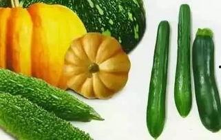 柳树下吃瓜,夏日悠闲时光