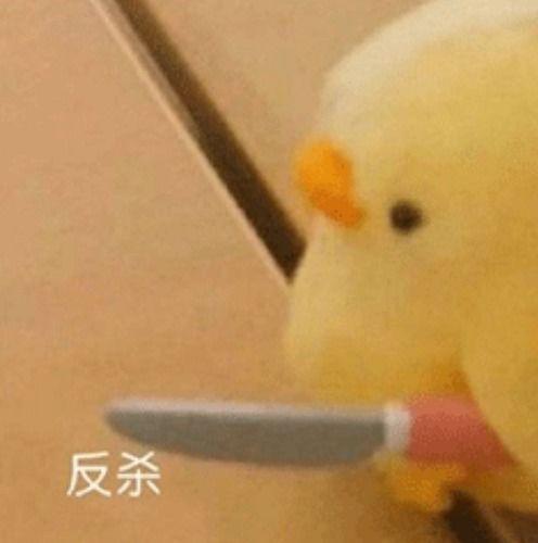 王校长吃瓜翻车,一场意外的舆论风波