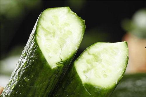 吃瓜解暑鳄鱼,吃瓜解暑鳄鱼，清凉一夏！