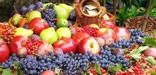 济宁翰林府吃瓜,瓜香四溢，品味古韵新居