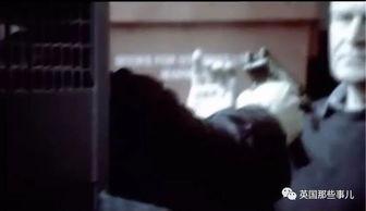 吃瓜直播凶杀案,揭秘网络直播的暗黑面