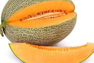 孕妇吃哈密瓜菠萝,哈密瓜与菠萝的甜蜜邂逅