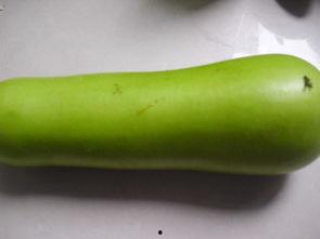 早孕可以吃葫芦瓜吗,早孕期间葫芦瓜的适宜食用指南