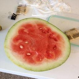 吃果冻的瓜,甜蜜诱惑，尽享美味新体验