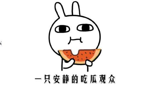 吃瓜都有什么含义,揭秘网络热点的多重含义与影响